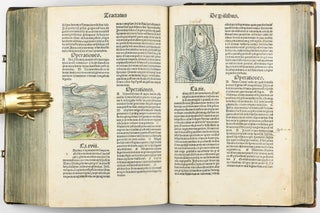 Hortus Sanitatis.