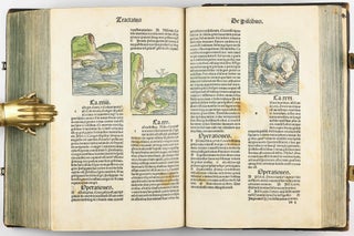 Hortus Sanitatis.