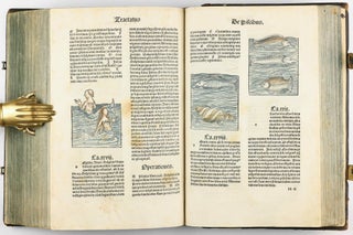Hortus Sanitatis.