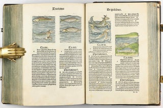 Hortus Sanitatis.