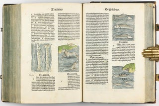 Hortus Sanitatis.