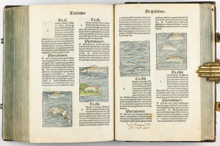 Hortus Sanitatis.
