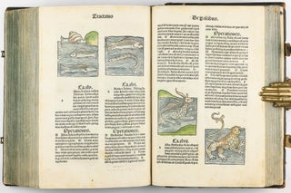 Hortus Sanitatis.