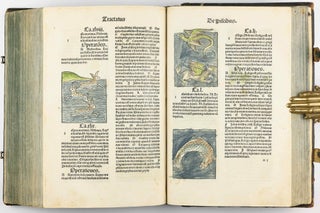 Hortus Sanitatis.