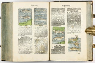 Hortus Sanitatis.