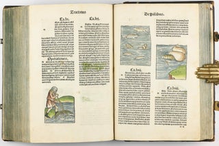 Hortus Sanitatis.
