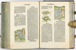 Hortus Sanitatis.