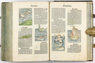 Hortus Sanitatis.