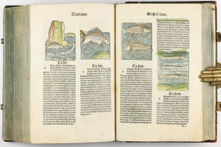 Hortus Sanitatis.