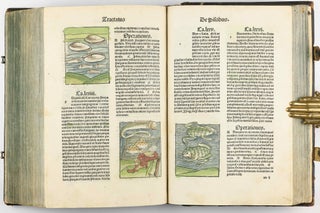 Hortus Sanitatis.