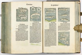 Hortus Sanitatis.