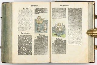 Hortus Sanitatis.