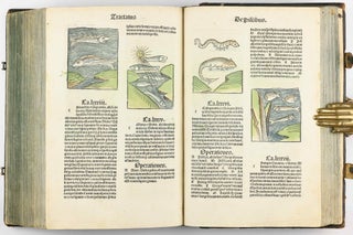 Hortus Sanitatis.