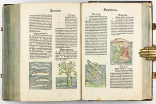 Hortus Sanitatis.