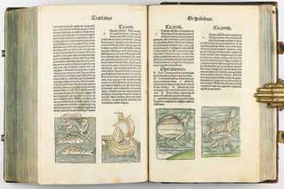Hortus Sanitatis.