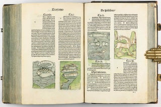 Hortus Sanitatis.