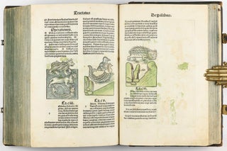 Hortus Sanitatis.