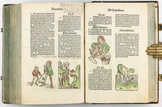 Hortus Sanitatis.
