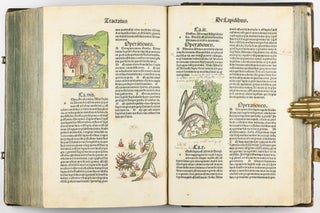 Hortus Sanitatis.