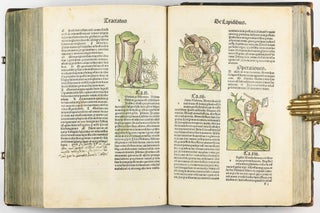Hortus Sanitatis.