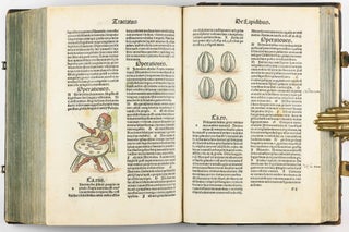 Hortus Sanitatis.