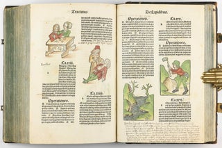 Hortus Sanitatis.