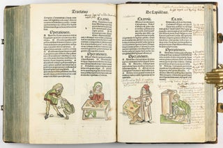 Hortus Sanitatis.