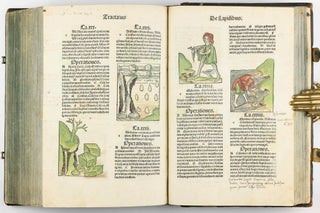Hortus Sanitatis.