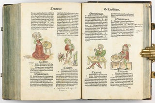Hortus Sanitatis.