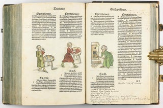 Hortus Sanitatis.