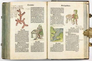 Hortus Sanitatis.