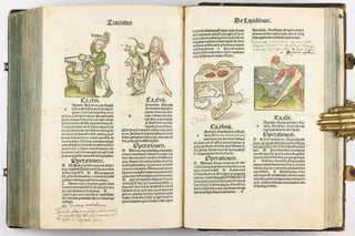 Hortus Sanitatis.