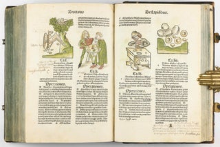 Hortus Sanitatis.