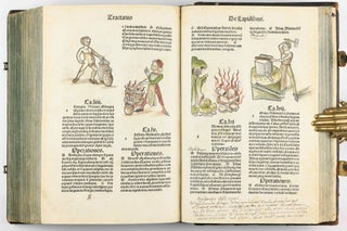 Hortus Sanitatis.