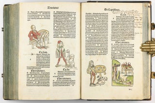 Hortus Sanitatis.
