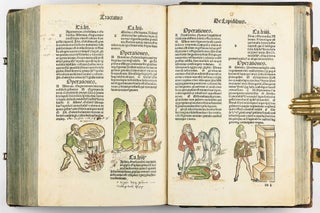 Hortus Sanitatis.