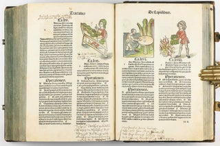 Hortus Sanitatis.