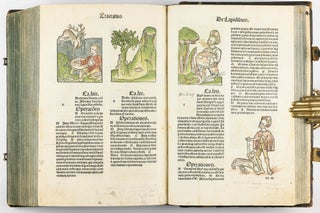 Hortus Sanitatis.