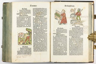 Hortus Sanitatis.