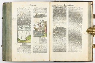 Hortus Sanitatis.