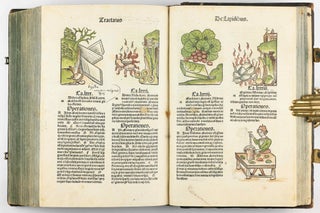 Hortus Sanitatis.