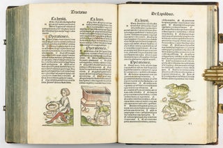Hortus Sanitatis.