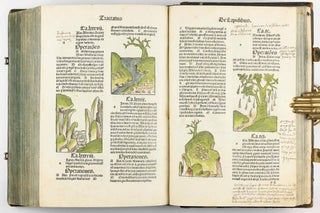 Hortus Sanitatis.