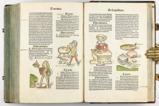 Hortus Sanitatis.