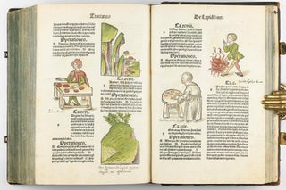 Hortus Sanitatis.