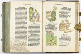 Hortus Sanitatis.
