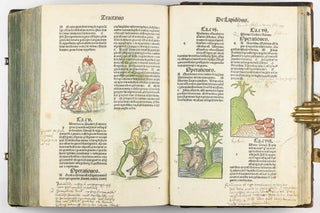 Hortus Sanitatis.