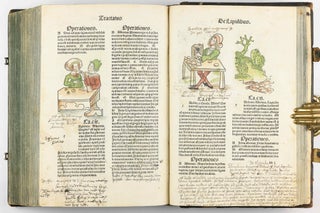 Hortus Sanitatis.