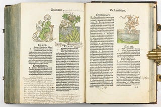Hortus Sanitatis.