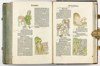 Hortus Sanitatis.